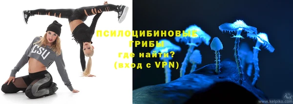 трава Кинешма