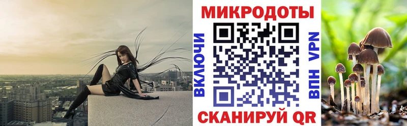 Псилоцибиновые грибы мухоморы  Купить закладки  Борисоглебск 